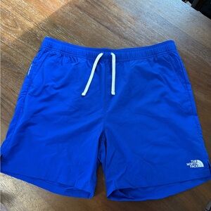 The North Face Men's Vibrant Blue Shorts